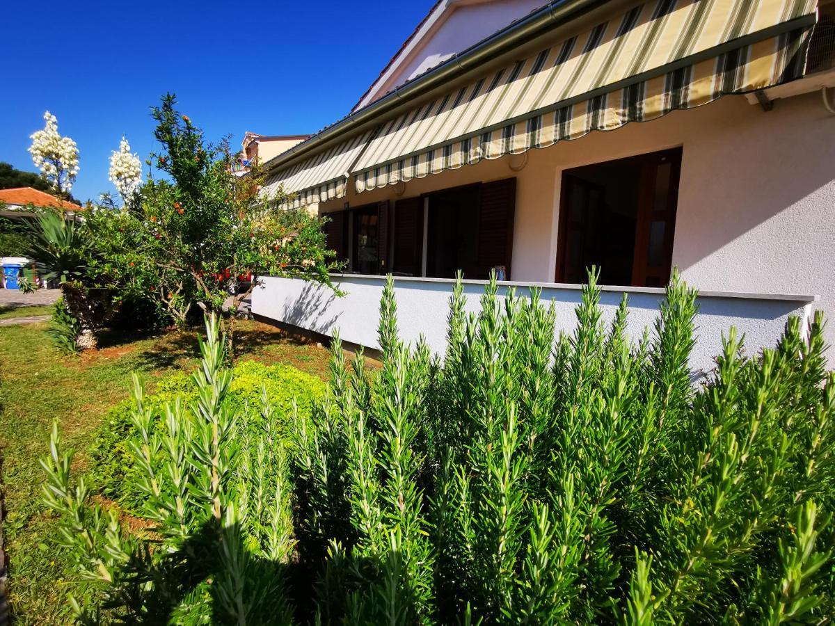 רוביני Apartments Medusa מראה חיצוני תמונה